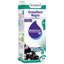 Drasanvi Glicerinado Bio de Grosellero Negro 50 ml Drasanvi Glicerinado Bio de Grosellero Negro 50 ml