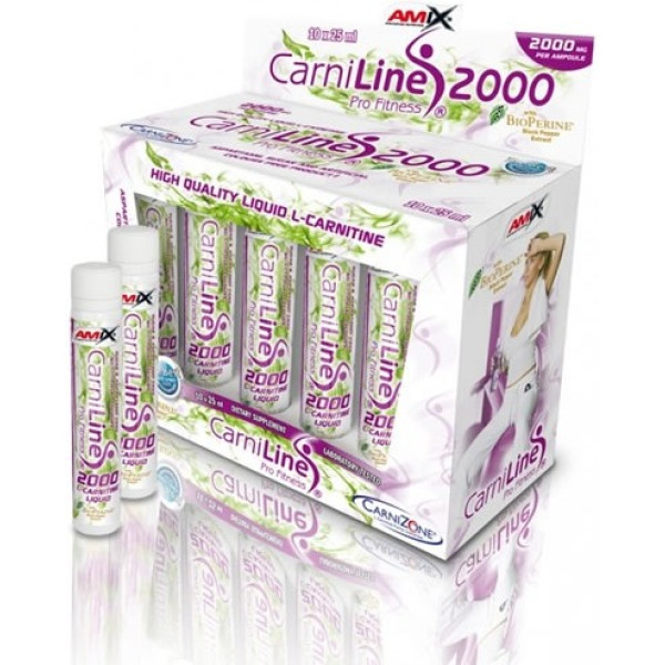 Amix CarniLine Pro Fitness 2000 10 flacons x 25 ml