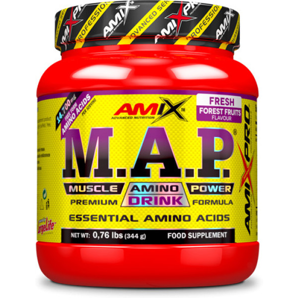 Amix MAP Powder 344 Gr - Ottimizza la sintesi proteica - Massimo assorbimento