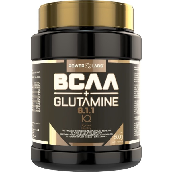 Powerlabs Bcaa 6.1.1 + Glutamine 500 G