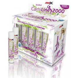 Amix CarniLine Pro Fitness 2000 10 ampollas x 25 ml Amix CarniLine Pro Fitness 2000 10 ampollas x 25 ml