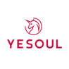 Productos Yesoul